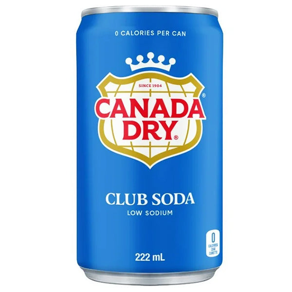 Coca Cola Canada Dry Club Soda 222 mL