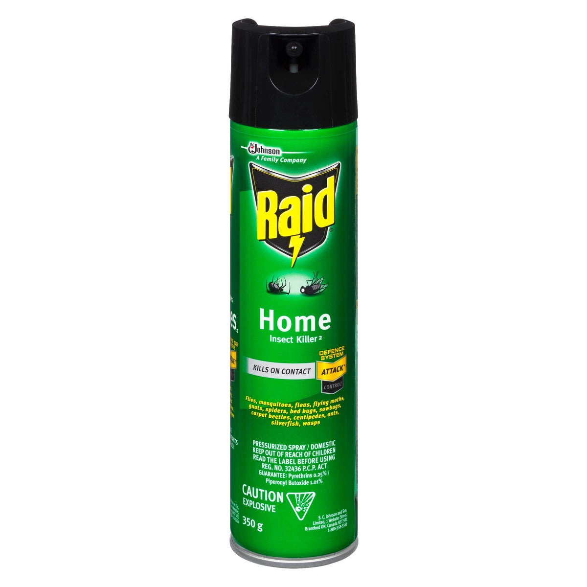 RAID Home Insect Killer 350 g