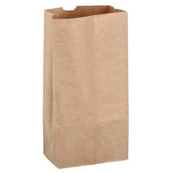 Rosenbloom 20LB Brown Paper Bag 500 ct