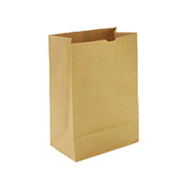 Rosenbloom 6LB Brown Paper Bag 500 ct