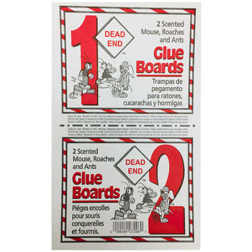 Dead End Mouse/insect Glue Board 2 pc