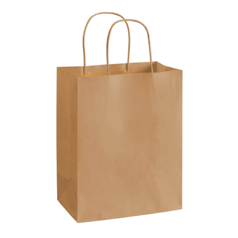 Paper Food Packaging Bag [17" X 20" X 12"] 12 pcs