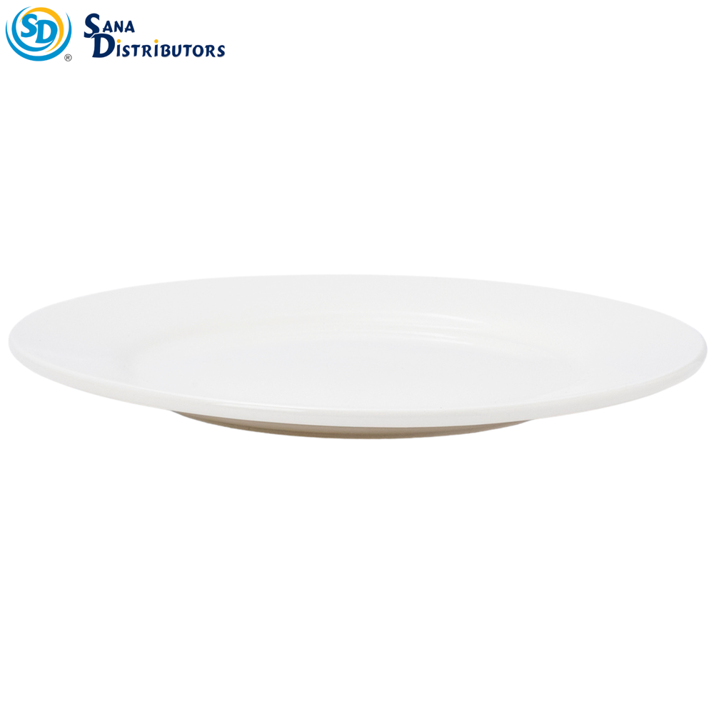 Porcelain Plate 10"