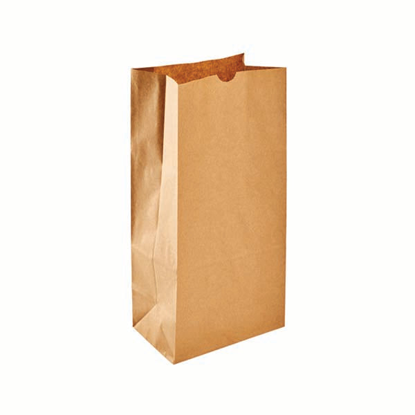 Haversack/somi 8LB Brown Paper Bag 500 ct