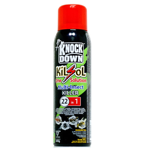 Knockdown 22 in 1 Multi Insect Killer Spray 400 g