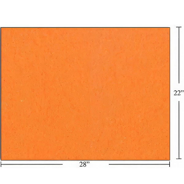 CTG Bristol Board Orange