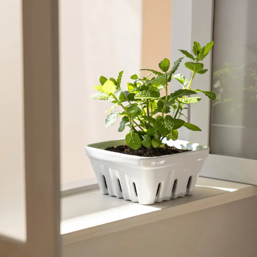 over&back Stoneware Basket Set, 3-pieces