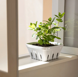 over&back Stoneware Basket Set, 3-pieces