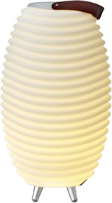 Kooduu Synergy 50 Speaker with LED and Cooler