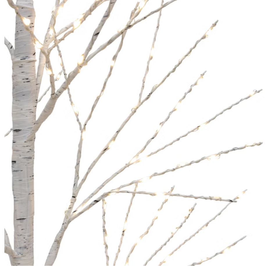 2m (6.5ft) Birch Tree