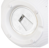 Evergreen LED Porcelain Lantern, 2-piece