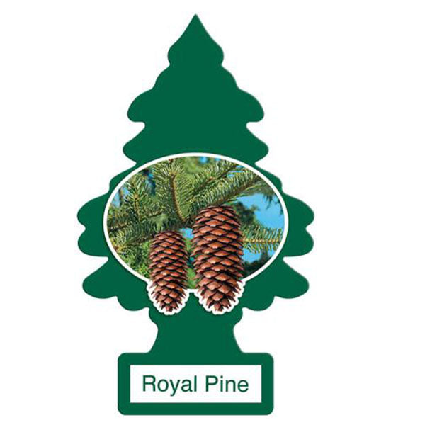 Little Tree Car Freshener Royal Pine 24 ct