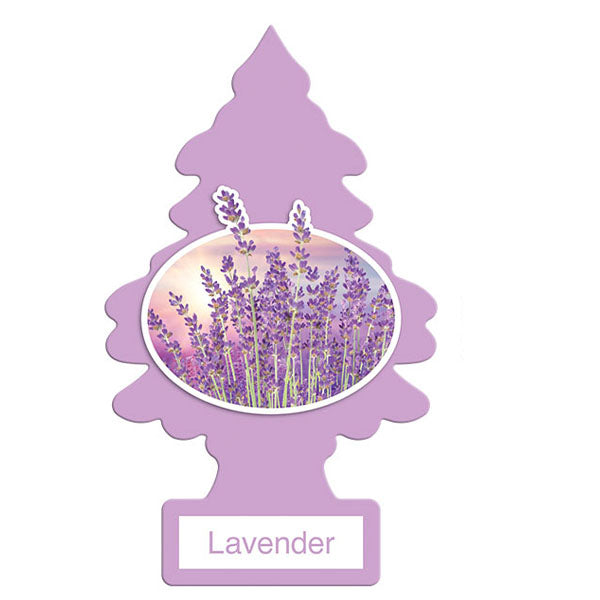 Little Tree Car Freshener Lavender 24 ct