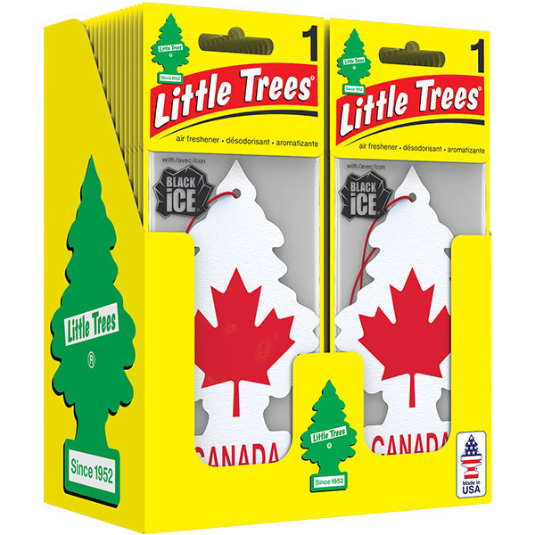 Little Tree Car Freshner Canada Black Ice 24-Pack