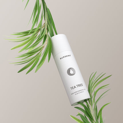 Organic Tea Tree Essential Oil