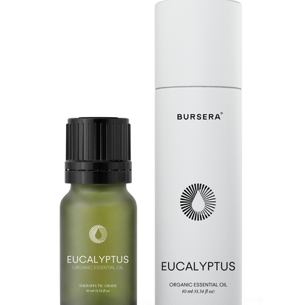 Organic Eucalyptus Essential Oil