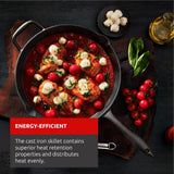 LAGOSTINA L999040130 Cast Iron 10in Skillet
