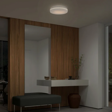 Artika, Hemisphere Flush Mount Light, Chrome